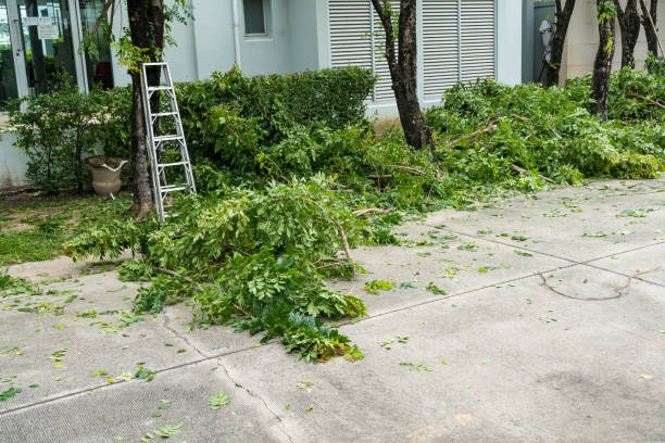 Leaf Removal in Shoemakersville, PA